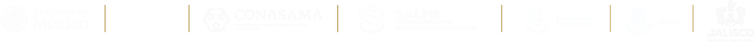 Logotipos Institucionales